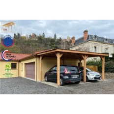 Abri toit plat en bois Douglas