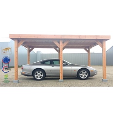 Abri toit plat en bois Douglas