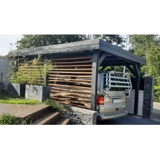 Abri toit plat en bois Douglas
