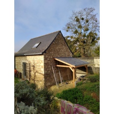 Carport bois Douglas monopente adossé