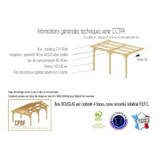 Carport bois Douglas toit plat adossé -  Hauteur de passage 3,20 m