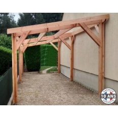 Carport bois Douglas monopente