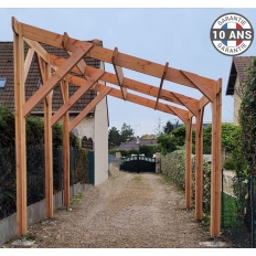 Carport bois Douglas monopente