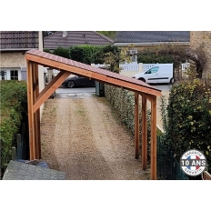 Carport bois Douglas monopente