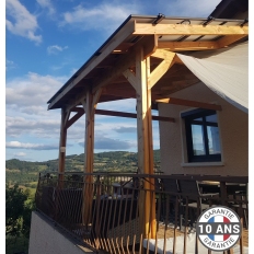 Carport bois Douglas monopente adossé