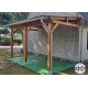 Carport bois Douglas monopente adossé