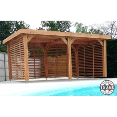 Abri toit plat en bois Douglas