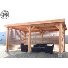 Abri toit plat en bois Douglas