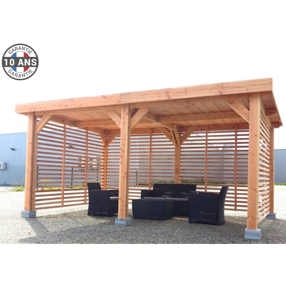 Abri toit plat en bois Douglas