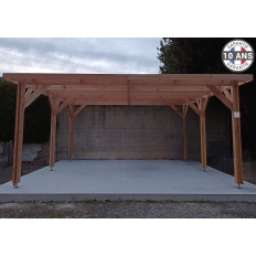 Abri toit plat en bois Douglas