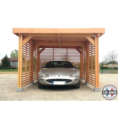 Abri toit plat en bois Douglas