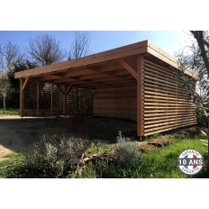 Abri toit plat en bois Douglas