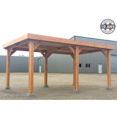 Abri toit plat en bois Douglas