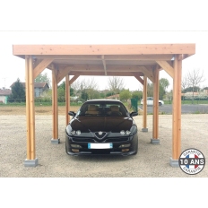 Abri toit plat en bois Douglas