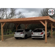 Abri toit plat en bois Douglas