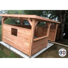 Abri toit plat en bois Douglas