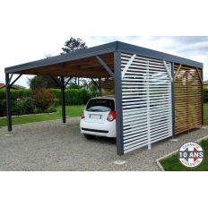 Abri toit plat en bois Douglas