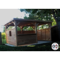 Abri toit plat en bois Douglas