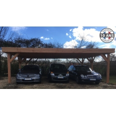 Abri toit plat en bois Douglas