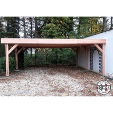 Abri toit plat en bois Douglas