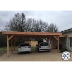 Abri toit plat en bois Douglas