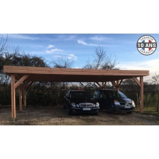 Abri toit plat en bois Douglas